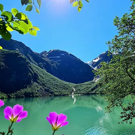 Fjordhotel 4*